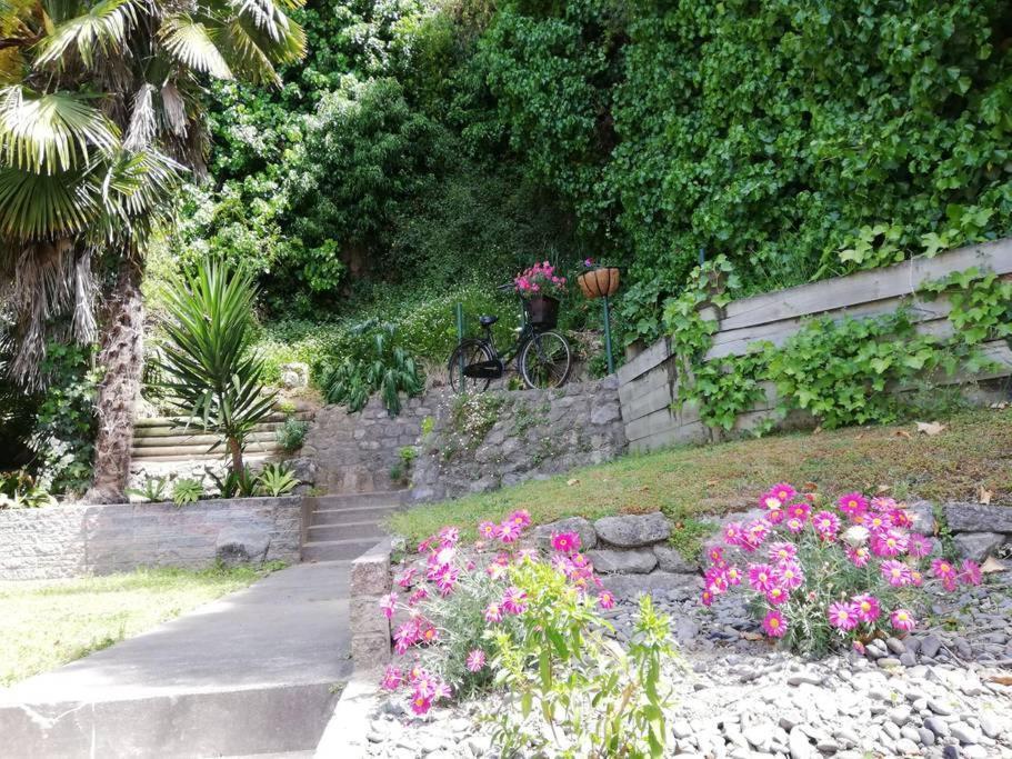 Shakespeare Cottage Napier Buitenkant foto